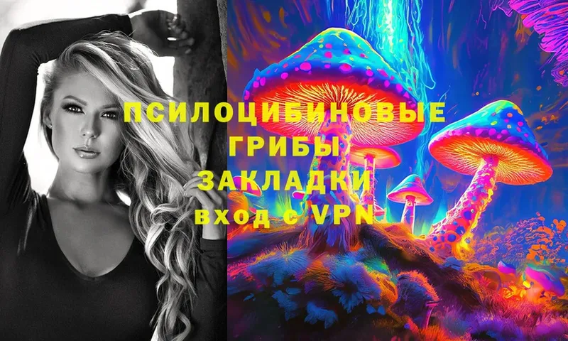 Псилоцибиновые грибы Psilocybe Минусинск